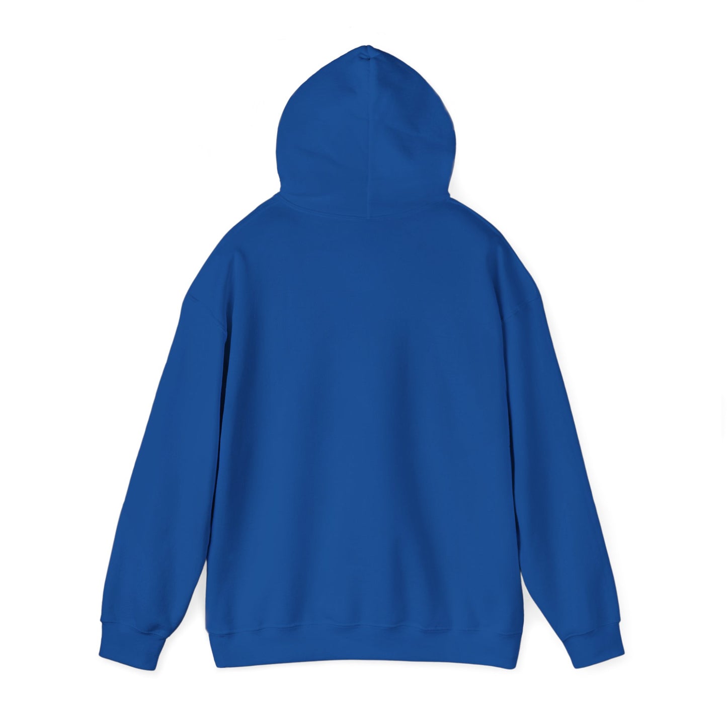 Hoodie — "Hold On Let Me Overthink This" Graphic Pullover